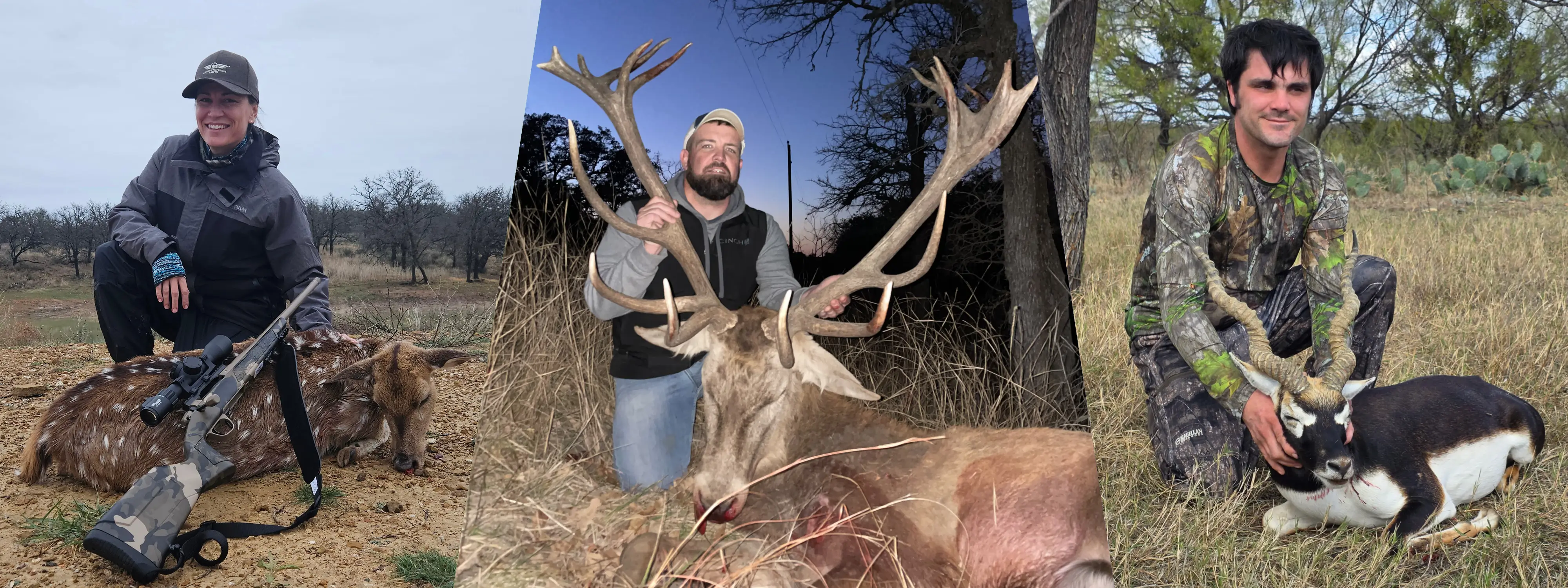 M6 Exotic Game Hunts