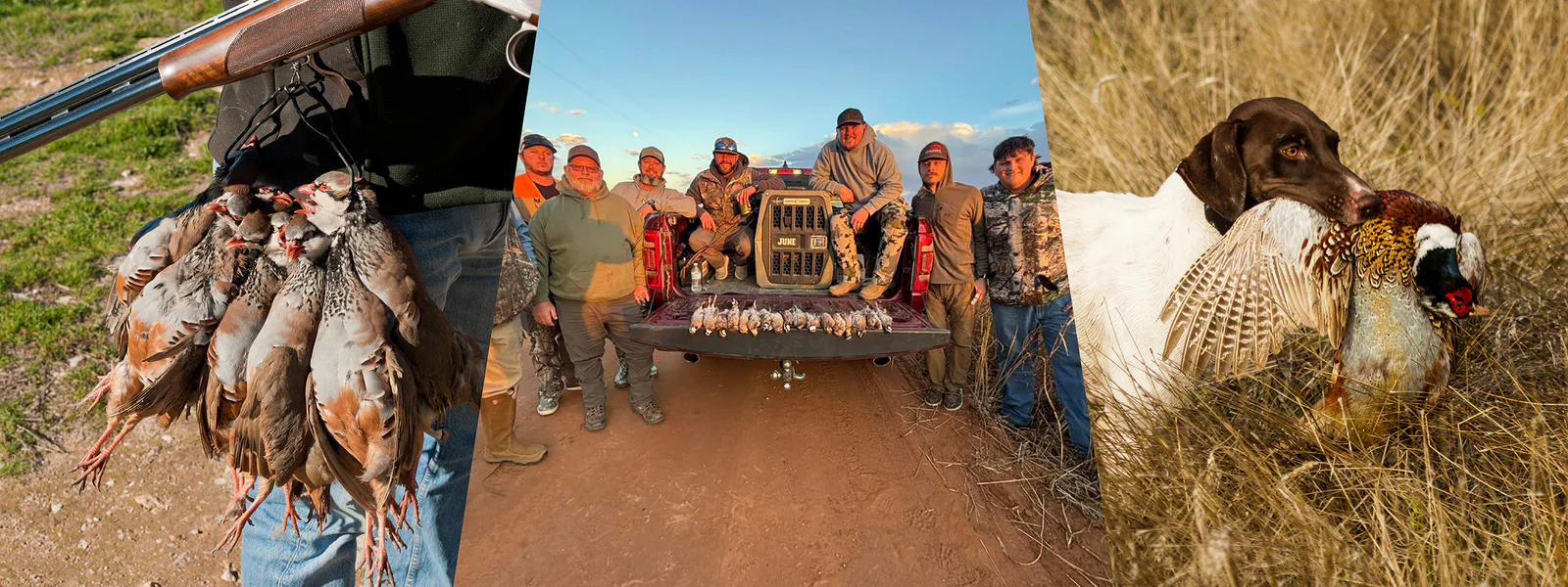 M6 Quail & Pheasant Hunts