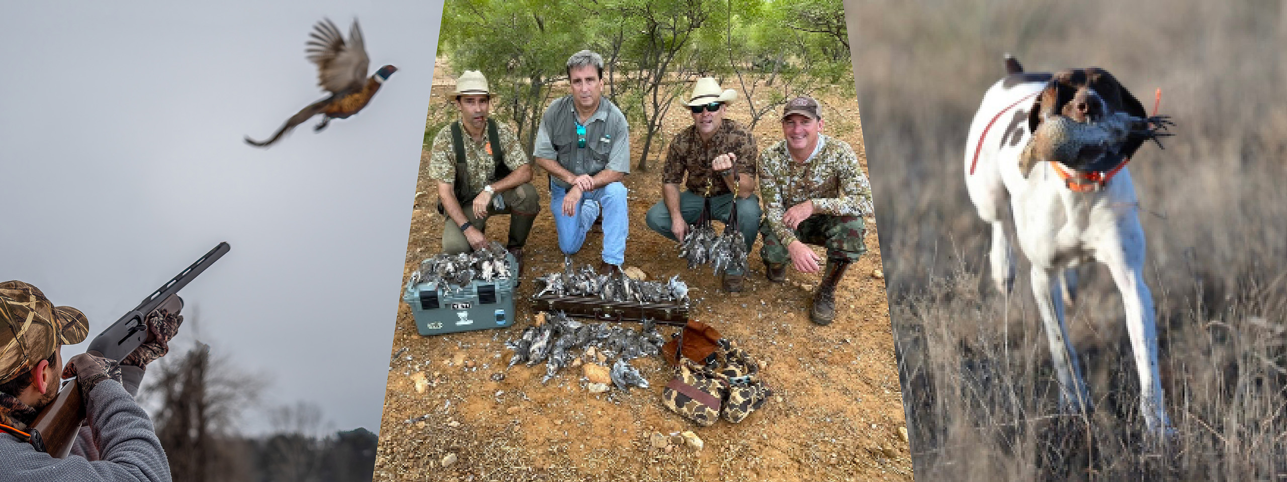 Turkey Hunts