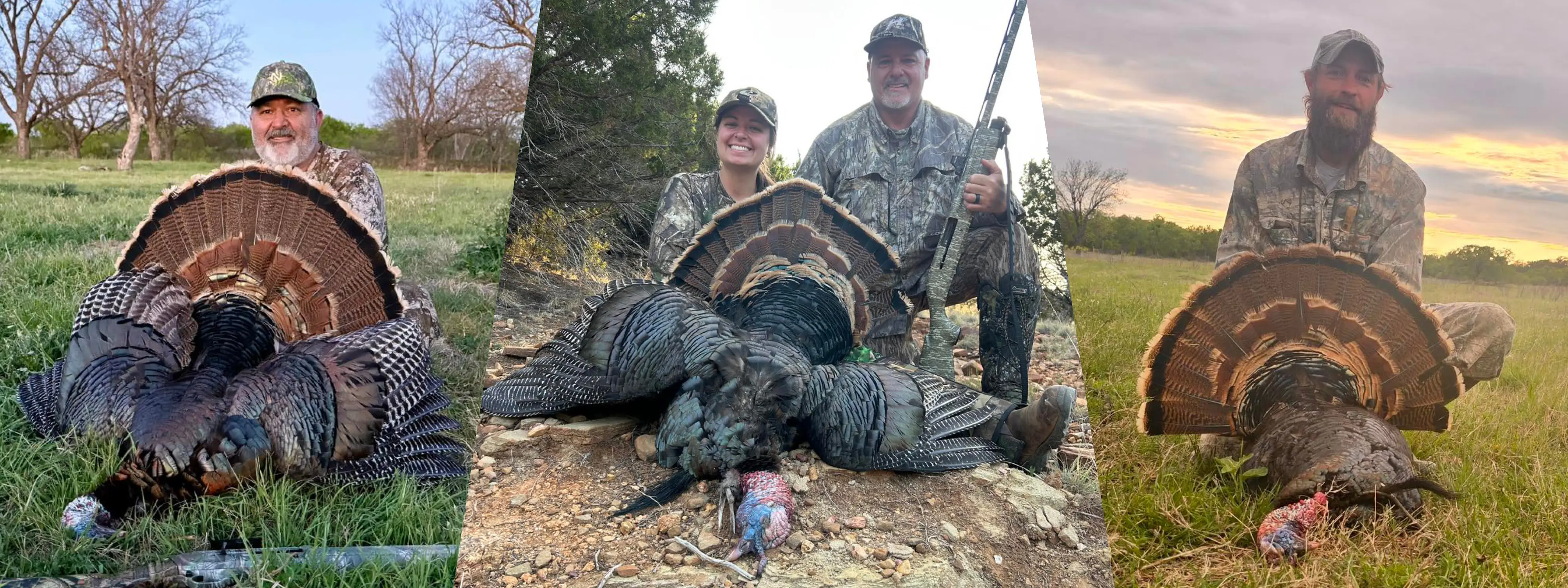 M6 Turkey Hunts